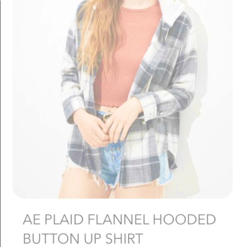 AE Plaid Flannel Hooded Button Up Shirt